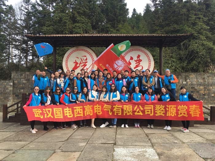 國電西高邂逅最美的春天——婺源賞花之旅