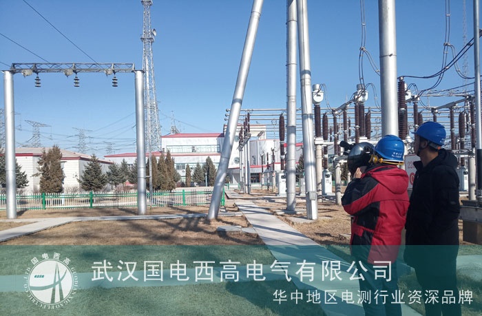 我司為東北超高壓調(diào)試絕緣子故障遠距離激光檢測儀