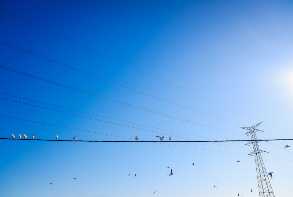 串聯諧振,sf6檢漏儀,局放儀,油色譜